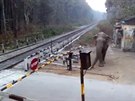 Slon si to namíil k pejezdu, aby se dostal na druhou stranu kolejí.
