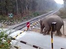 Slon se pod závorou pikril...