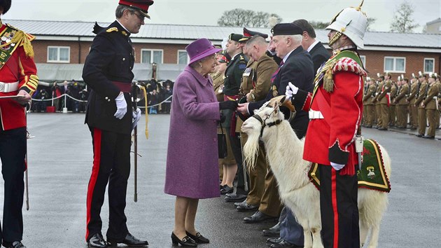 Britsk krlovna Albta II. a kozel William Windsor, maskot Krlovskho velskho pluku (3.3.2017).