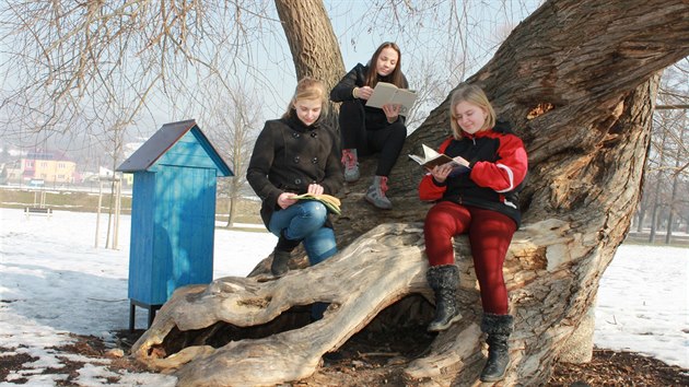 Žákyně Kateřina Vaňková, Andrea Pokorná a Tereza Černá v čítárně pod stromem.