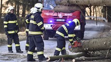 Hasii na silnici u Vyskytné na Jihlavsku odstraují popadané stromy (2.3.2017)