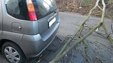 Stromu spadl na osobní vozidlo v ulici Rektorská v Maleicích. Vtve padajícího...