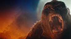 DO KINA: King Kong se utká s Miíkem a Masarykem