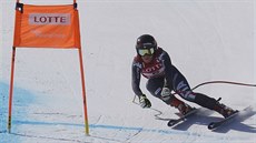 Sofia Goggiaová ve sjezdu v �ongsonu.