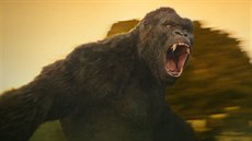 Z filmu Kong: Ostrov lebek
