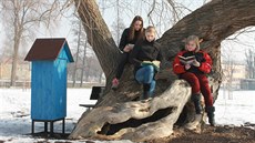 �ákyn� Kate�ina Va�ková, Andrea Pokorná a Tereza �erná v �ítárn� pod stromem.