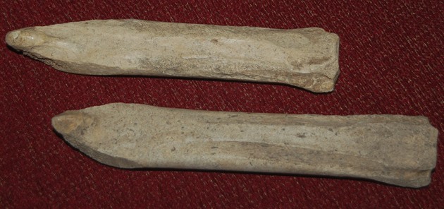 Dva kostné artefakty oznaované jako takzvané brusle, které nali archeologové...