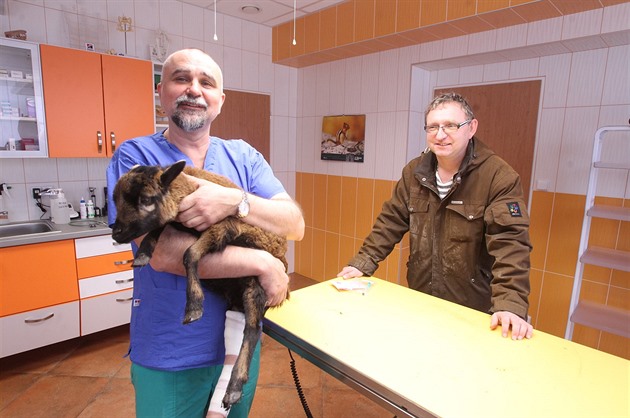 Zvroléka Jií Vomáka na veterinární klinice Live Litomice.