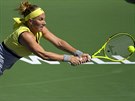 Svtlana Kuzncovová ve finále turnaje v Indian Wells