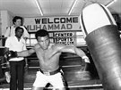 Slavný levý hák boxera Muhammada Aliho na snímku Nicka Uta z ervna 1976.