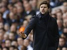 Kou Tottenhamu Mauricio Pochettino bhem utkání anglické ligy proti...