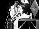 Americký zpvák a kytarista Chuck Berry (na snímku z roku 1986)