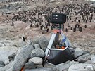 Tuáci kroukoví v Antarktid poblí automatické kamery, pouívané k jejich...