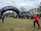 Craft RUNGO bh pes ty tydýty 2017