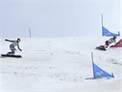 KDO S KOHO? Snowboardistka Ester Ledecká (vlevo) bojuje proti Patrizii...