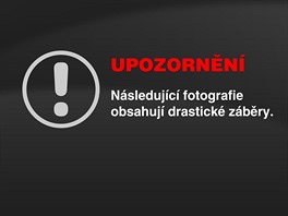 UPOZORNN: Nsledujc fotografie obsahuj drastick zbry.