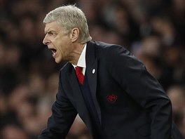 Trenr Arsne Wenger diriguje fotbalisty Arsenalu bhem tvrtfinlovho utkn...