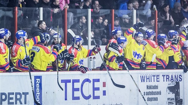Českobudějovičtí hokejisté oslavují vstřelenou branku.