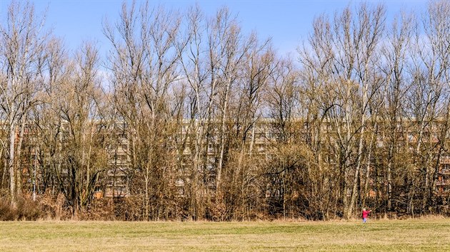 Politici cht�j� v Polabin�ch zkultivovat prav� b�eh Labe mezi zdymadlem a mostem Kapit�na Barto�e. �ad� lid� se v�ak divok� p��roda l�b�.