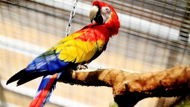 Kousek za jezdem u Brna najdou lid v Boovicch zoo plnou zajmavch papouch druh.