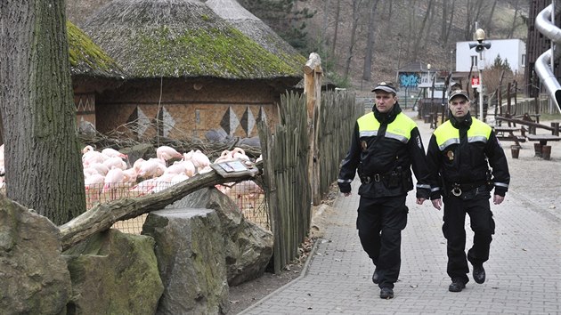 Městští strážníci právě procházejí okolo výběhu plameňáků. Jihlavská zoo nyní dumá, jak zvýšit bezpečnost v areálu.