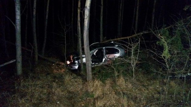Řidička z neznámých příčin vyjela z dálnice u vysílače Cukrák do lesa (13.3.2017)