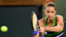 Karolína Plíková na turnaji v Indian Wells.