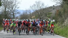 Cyklistický peloton