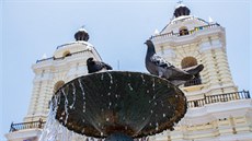 Jeden z mnoha kostel a dva z mnoha holub v hlavním mst Peru