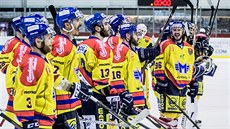 Českobudějovičtí hokejisté se radují z výhry v semifinále 1. ligy na Slavii.