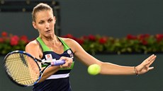 Karolína Plíková na turnaji v Indian Wells