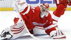 Detroitský branká� Petr Mrázek si p�ipisuje jeden ze zákrok� v zápase s New...