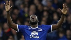 Úto�ník Evertonu Romelu Lukaku se raduje z gólu do sít� West Bromwiche.