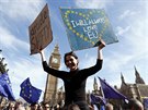 V Londýn demonstrují tisíce lidí proti chystanému odchodu z Evropské unie (25....
