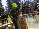 V Brn se koná Mezinárodní lesnická sout vestrannosti, které se úastní týmy...