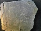 Pes tisíc let stará unikátní rytina mue s kíem nalezená pi przkumu...