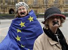 eny protestující proti brexitu u Dolní snmovny britského parlamentu