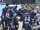Hokejisté Liberce se radují z gólu v utkání proti Plzni.