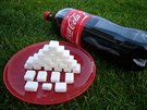 Coca Cola - V jednom litru Coca Coly je ukryto více ne 27 kostek cukru.