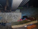 Bezdomovci pod Papírenskou lávkou v Plzni rozdlali ohe, který pokodil...