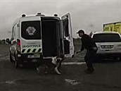 Mětská policie odchytla agresivního psa, který napadl své majitele