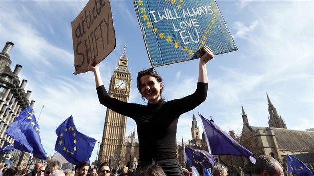 V Londn demonstruj tisce lid proti chystanmu odchodu z Evropsk unie (25. bezna 2017)
