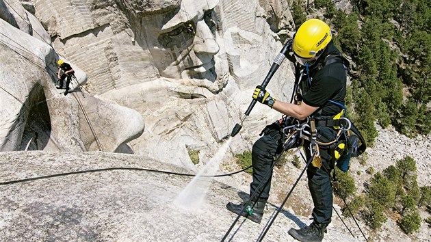 V ppad pamtnku Mount Rushmore bylo poteba odstranit liejnky, mechy, asy a jin organick zneitn, kter by mohla pokodit citliv kmen biokoroz.