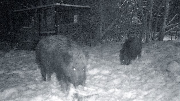 Ilustra�n� sn�mek