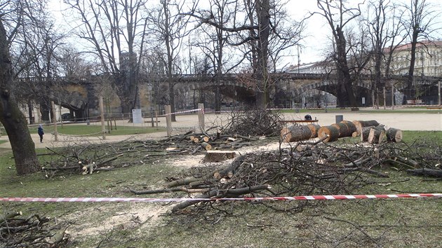 „Stromy byly ve špatném zdravotním stavu a představovaly velké bezpečnostní riziko pro návštěvníky ostrova,“ řekla mluvčí Prahy 1 Veronika Blažková.