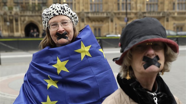 Ženy protestující proti brexitu u Dolní sněmovny britského parlamentu