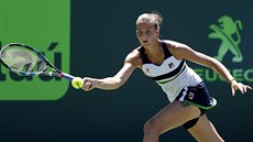 Karolína Plí�ková dobíhá mí�ek ve �tvrtfinále v Miami.