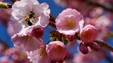 Ilustra�ní snímek