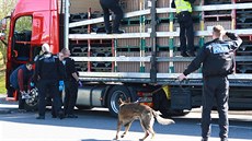Britští policisté zadrželi v českém kamionu tři běžence z Eritreje. (25. března...
