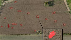 Identifikace rozsahu pokození kukuice divokými prasaty z dronu.